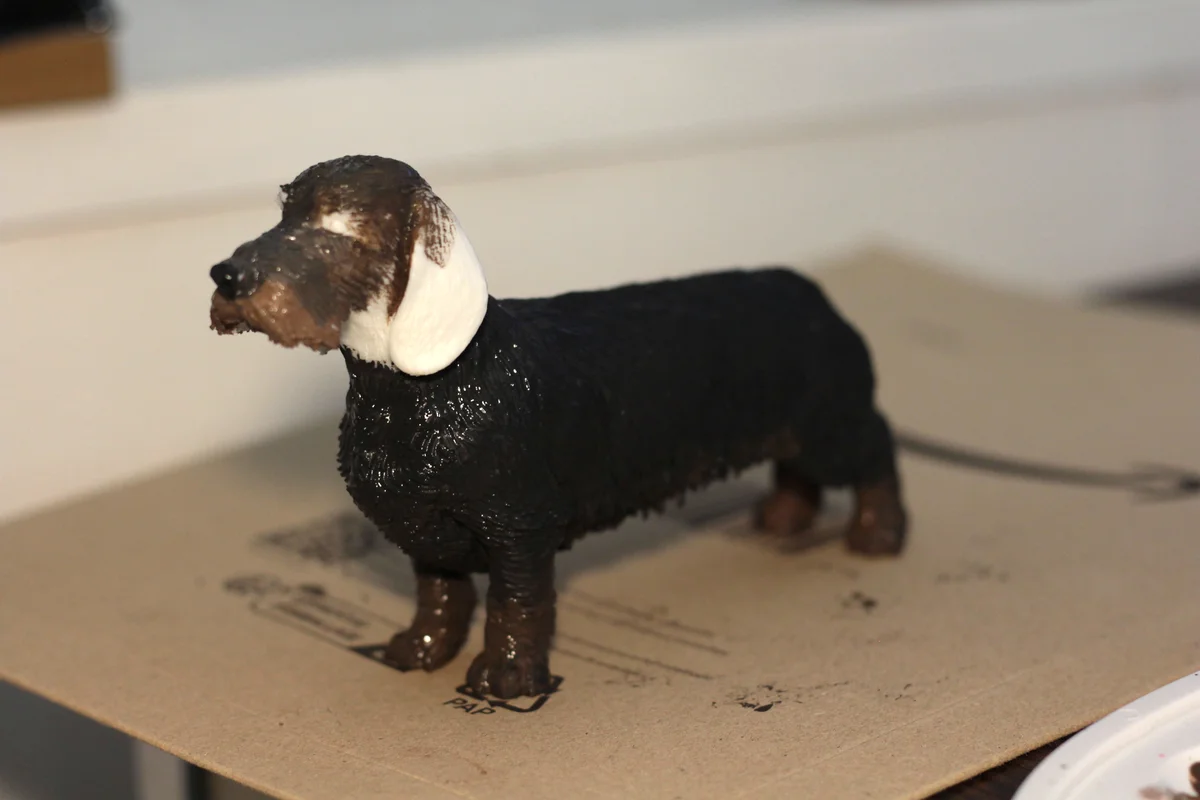 Wire Haired Dachshund