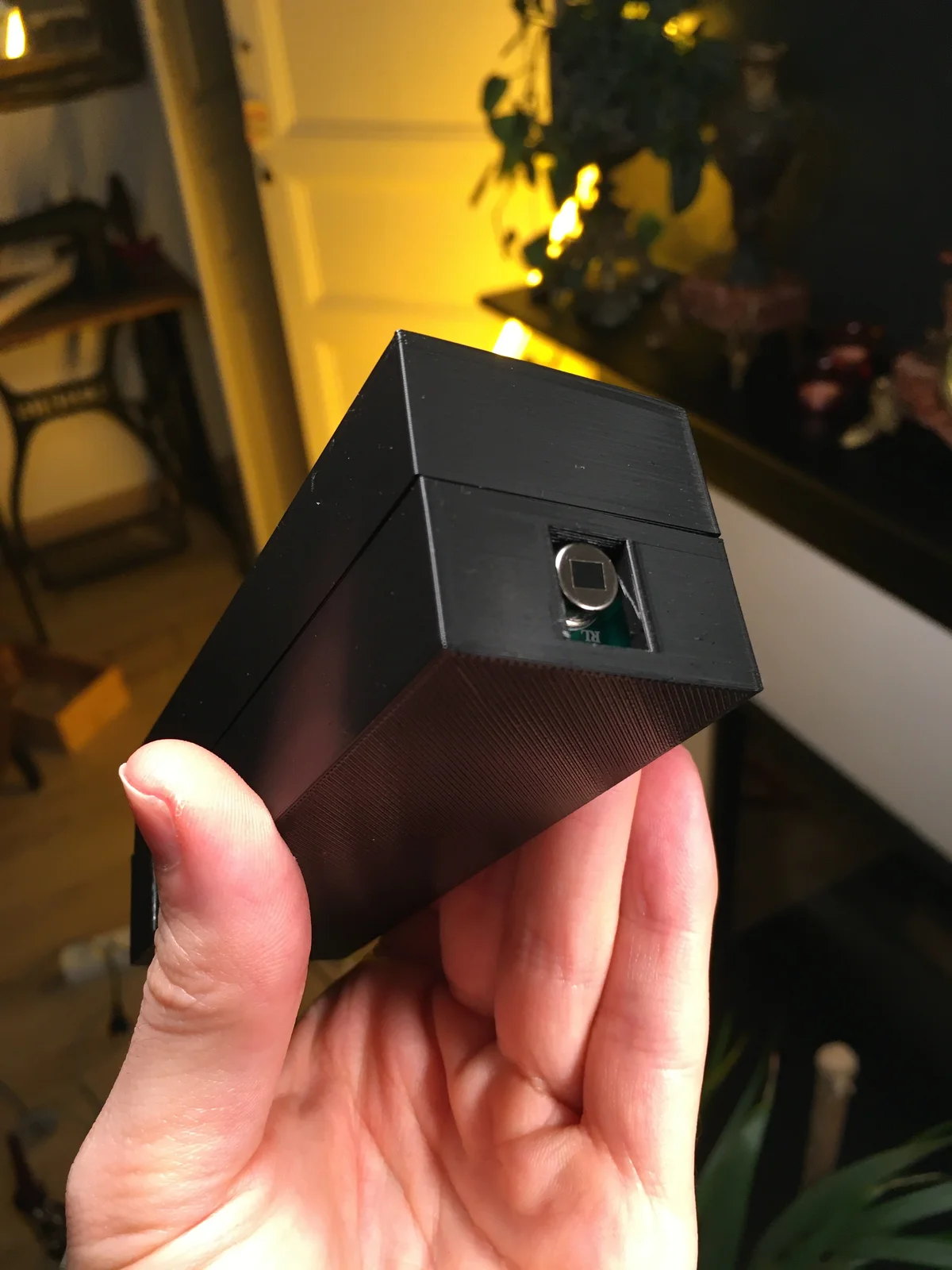Raspberry Pi detector