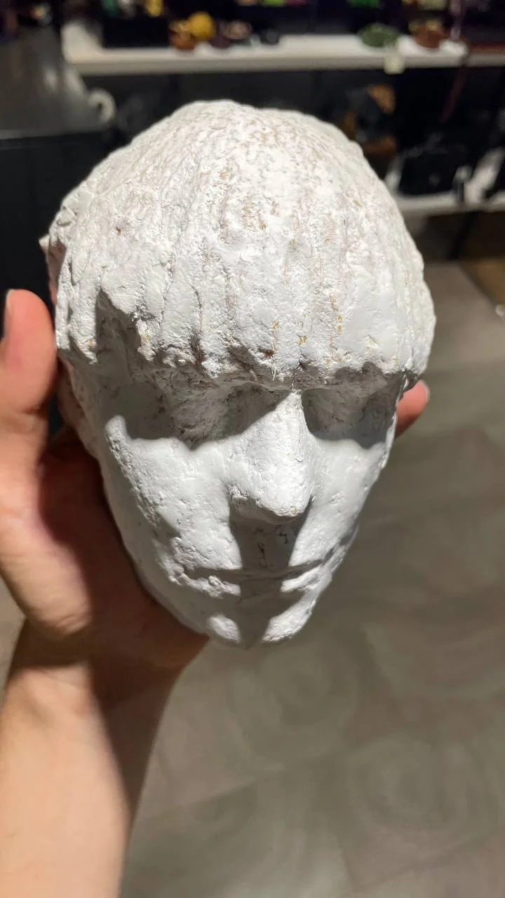 Human Face